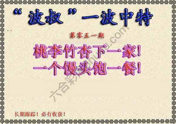 波叔一波中特