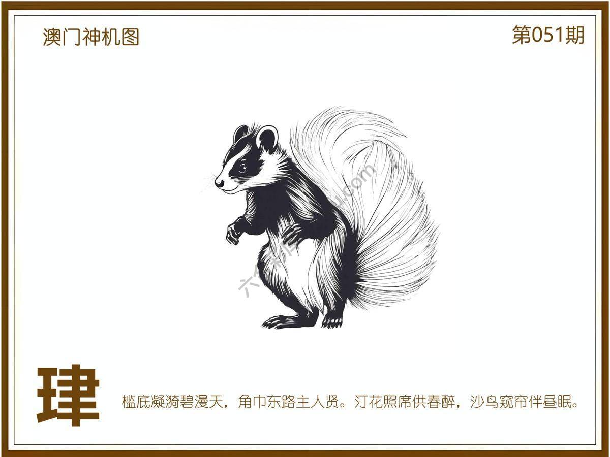 澳门神机图