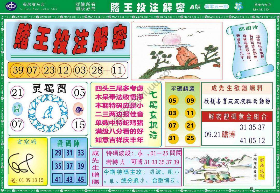 赌王投注解密