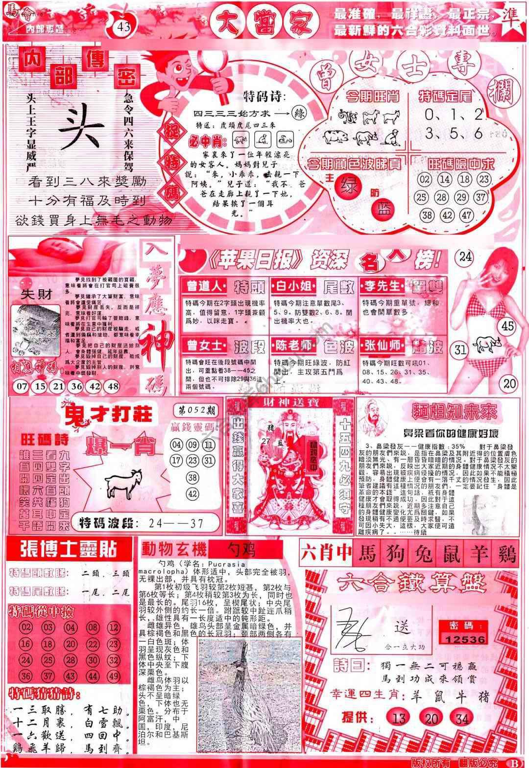 大当家