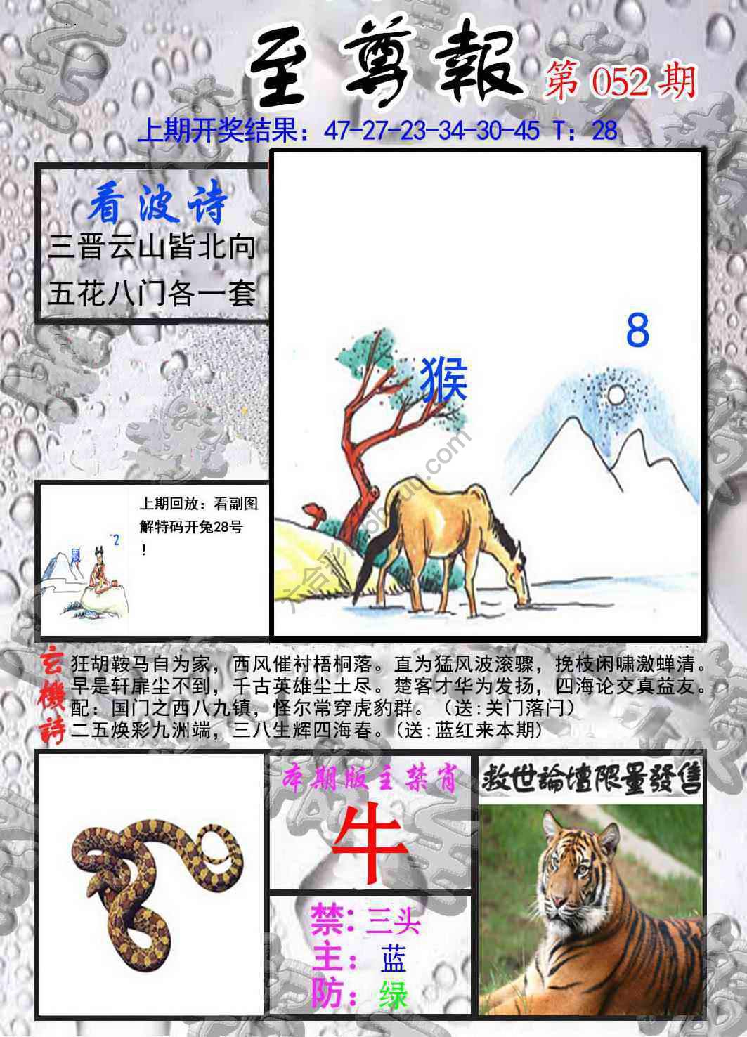 至尊报