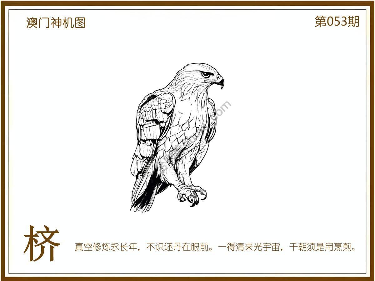 澳门神机图
