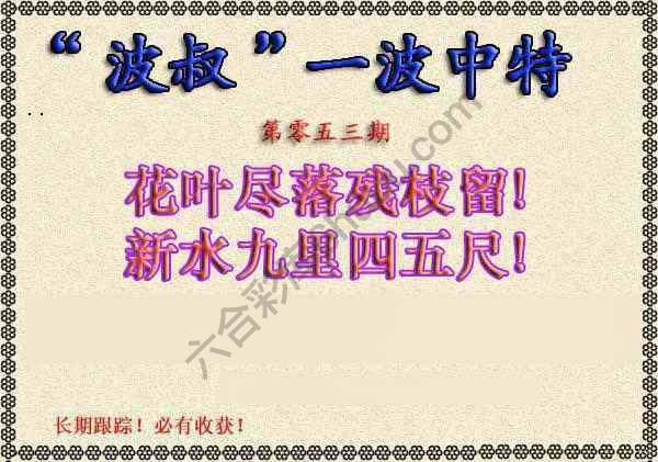 波叔一波中特
