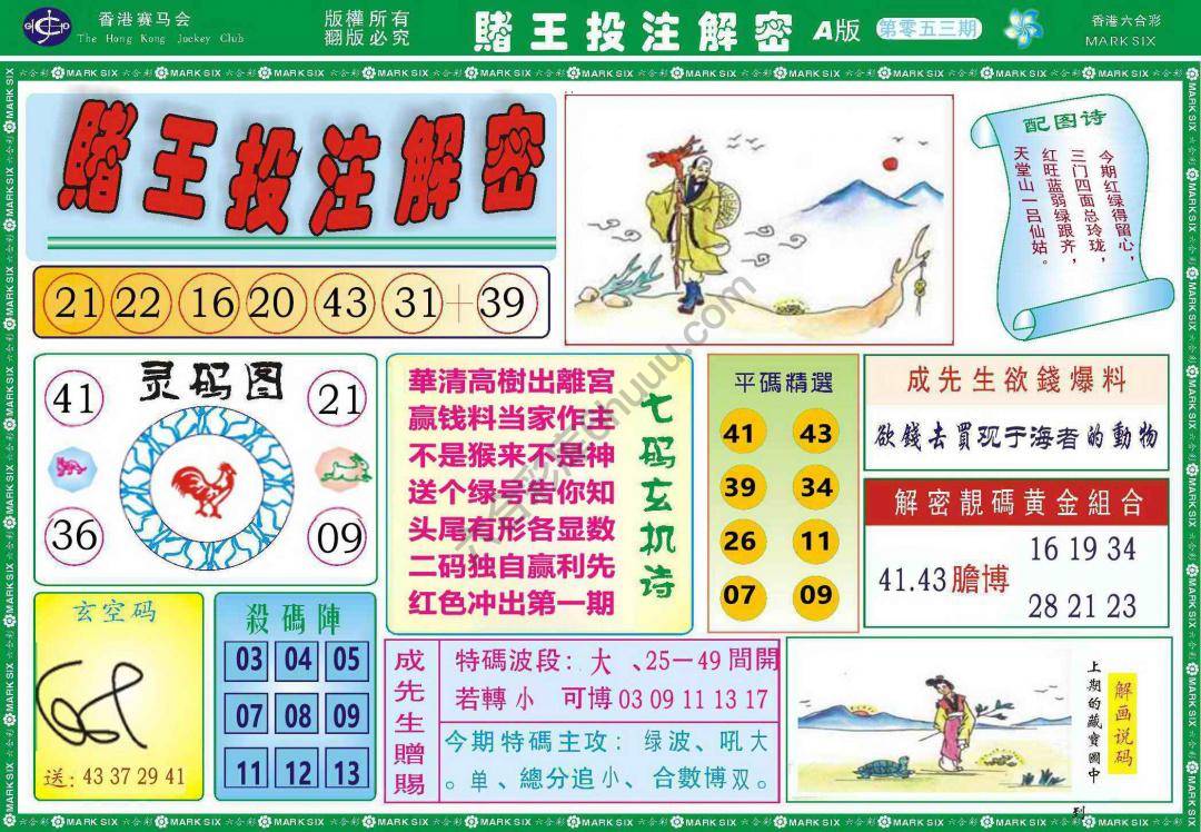 赌王投注解密