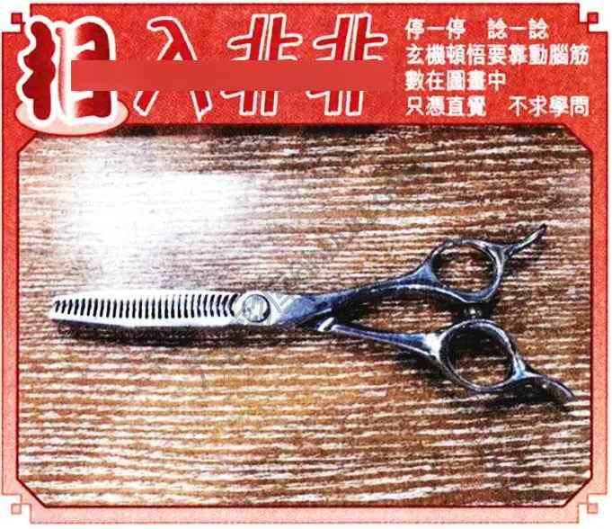 相入非非
