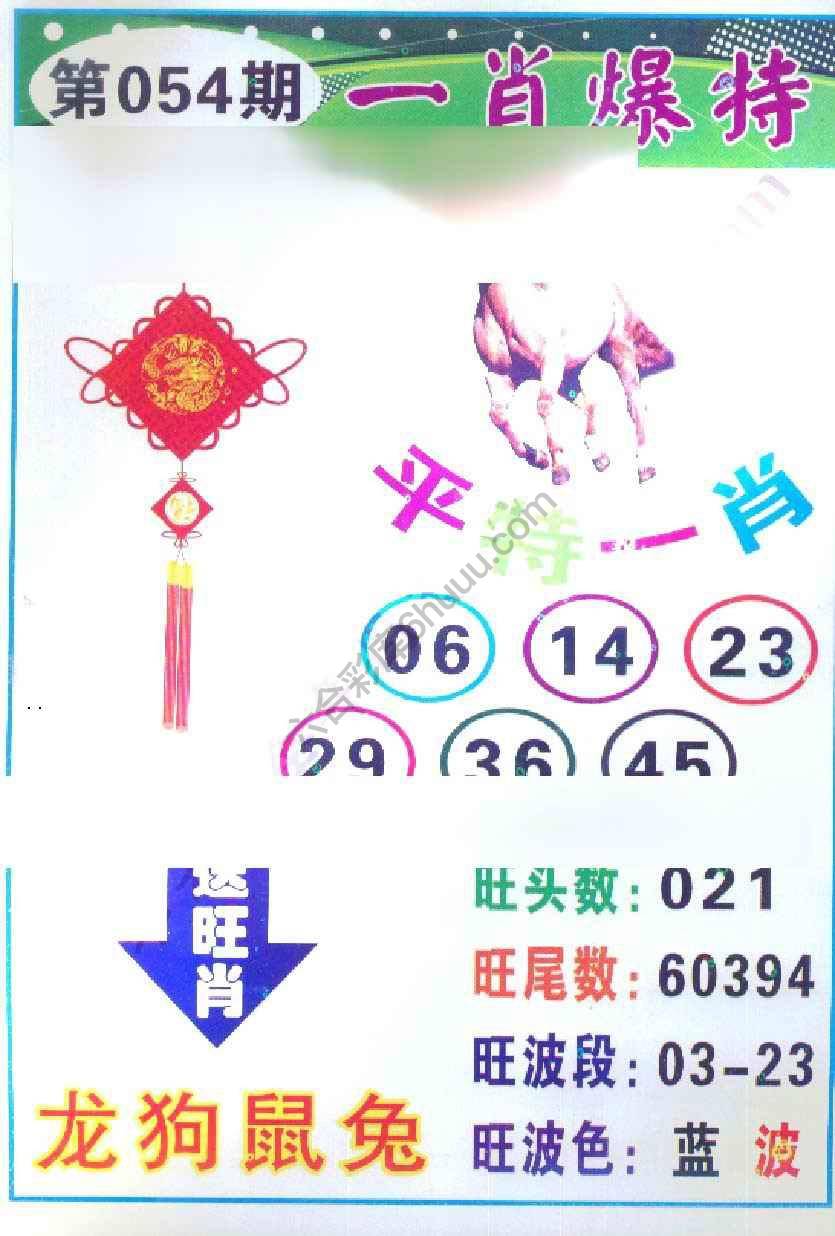 一肖爆特（新版）