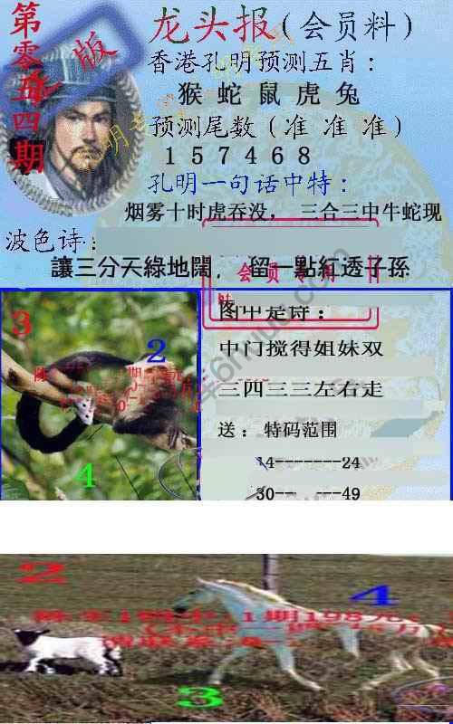 龙头报