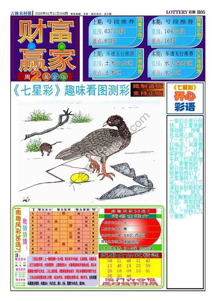 财富赢家