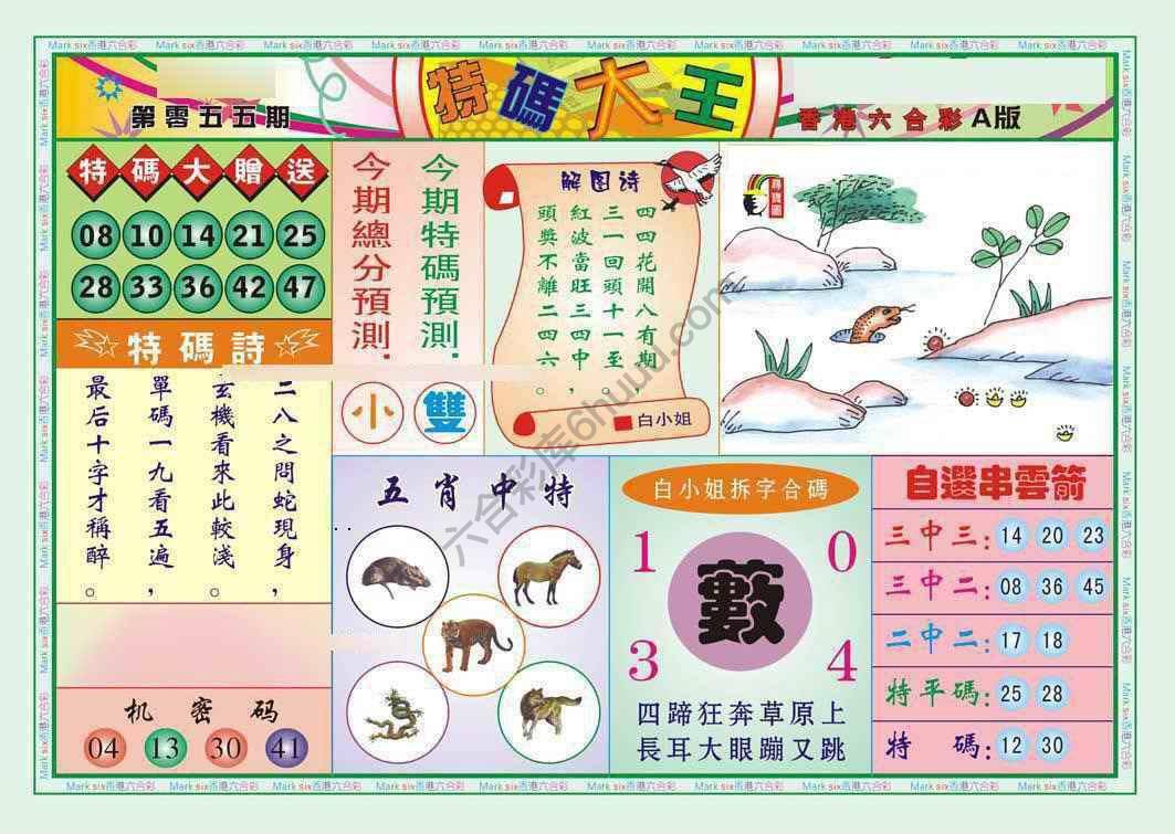 特码大王