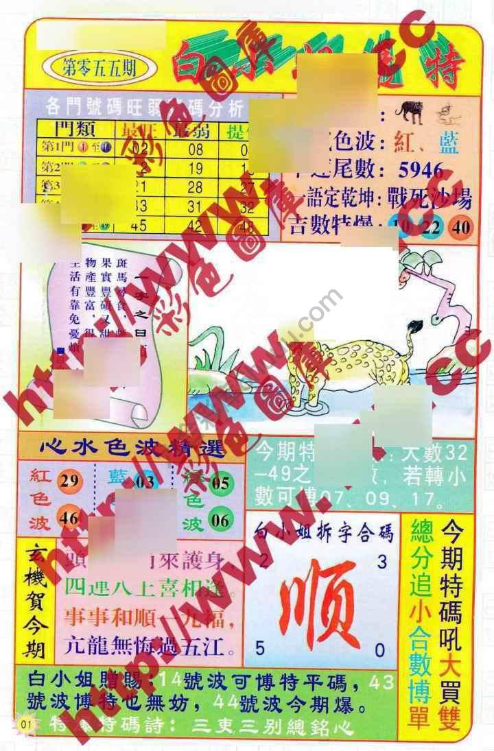 白小姐透特