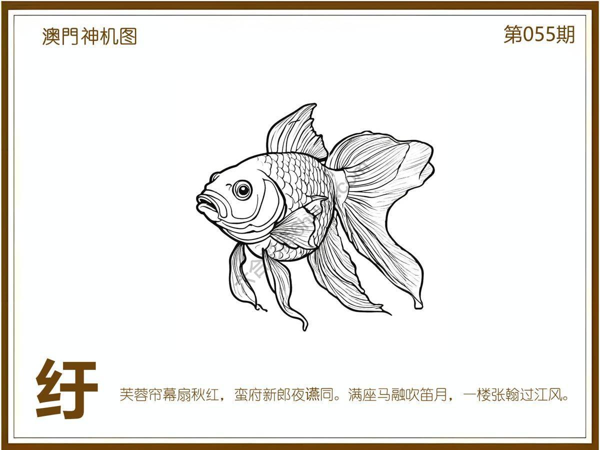 澳门神机图