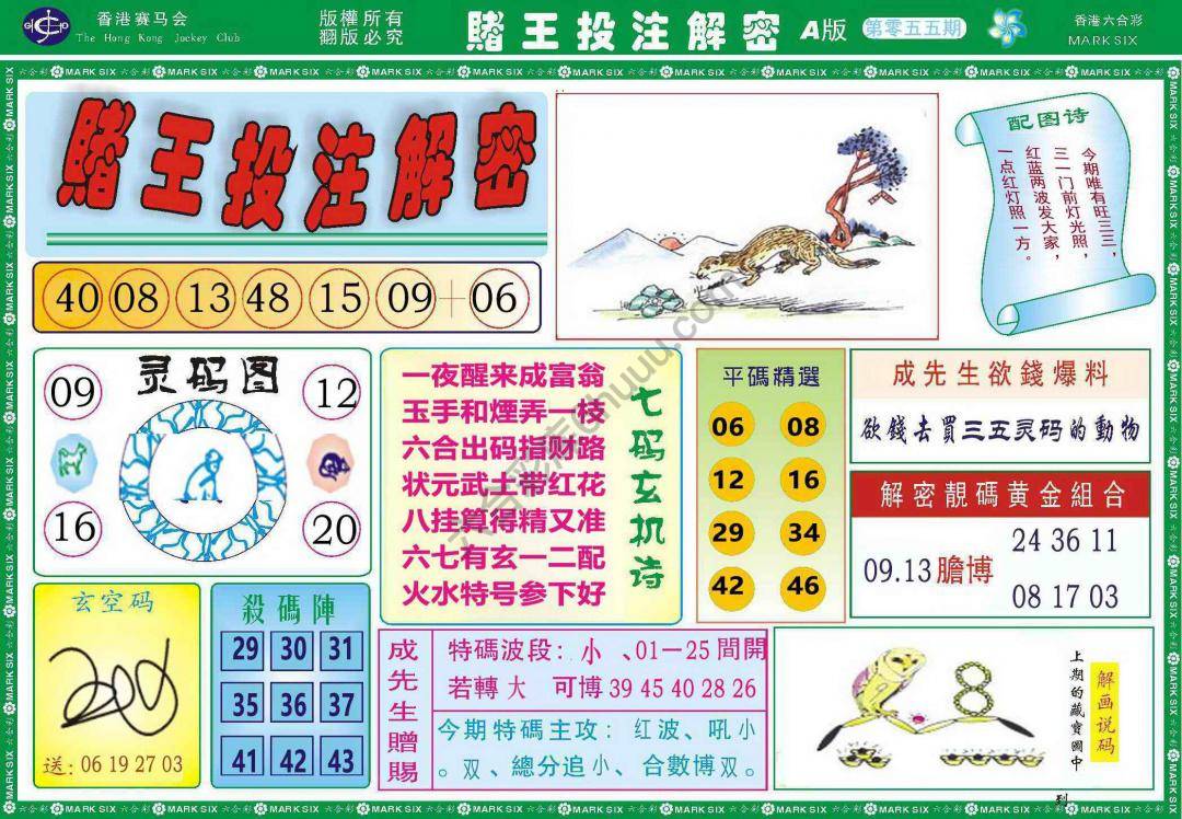 赌王投注解密