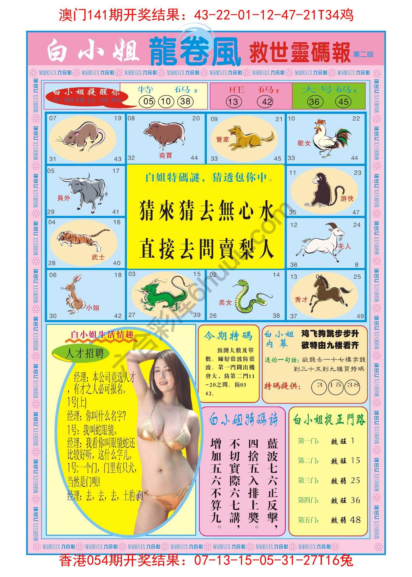 白小姐救世灵码报
