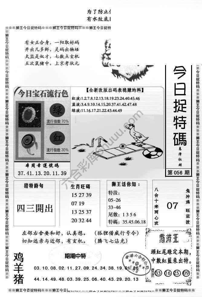 狮王今日抓特码