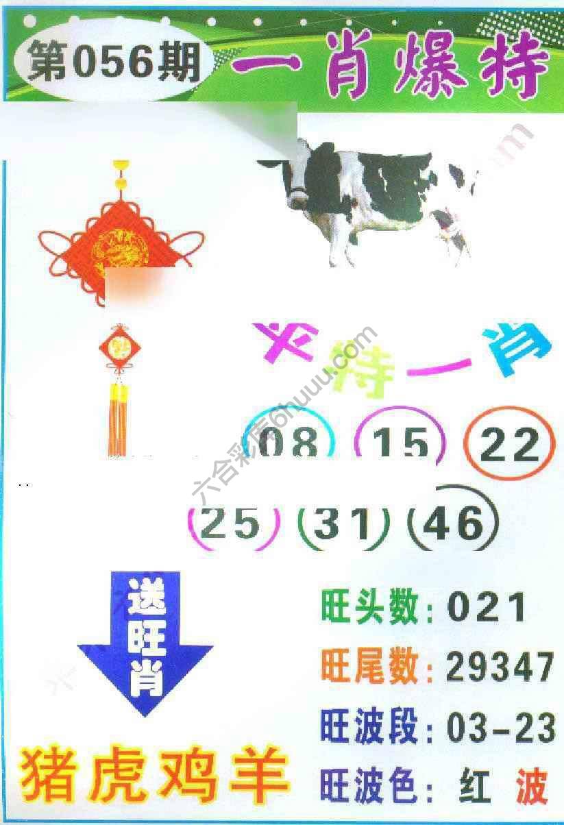 一肖爆特（新版）