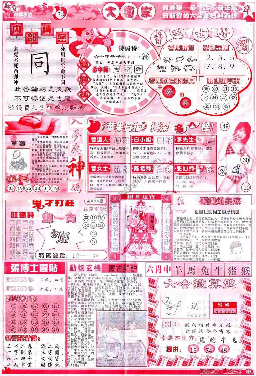 大当家
