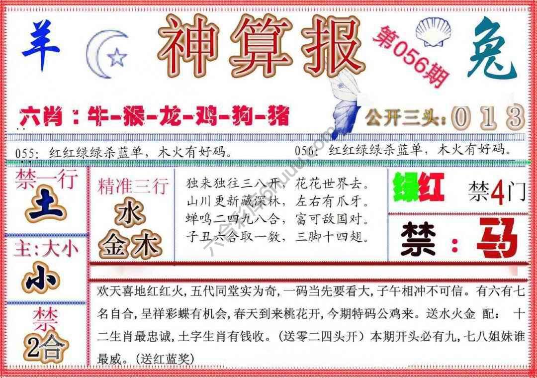 神算报新版