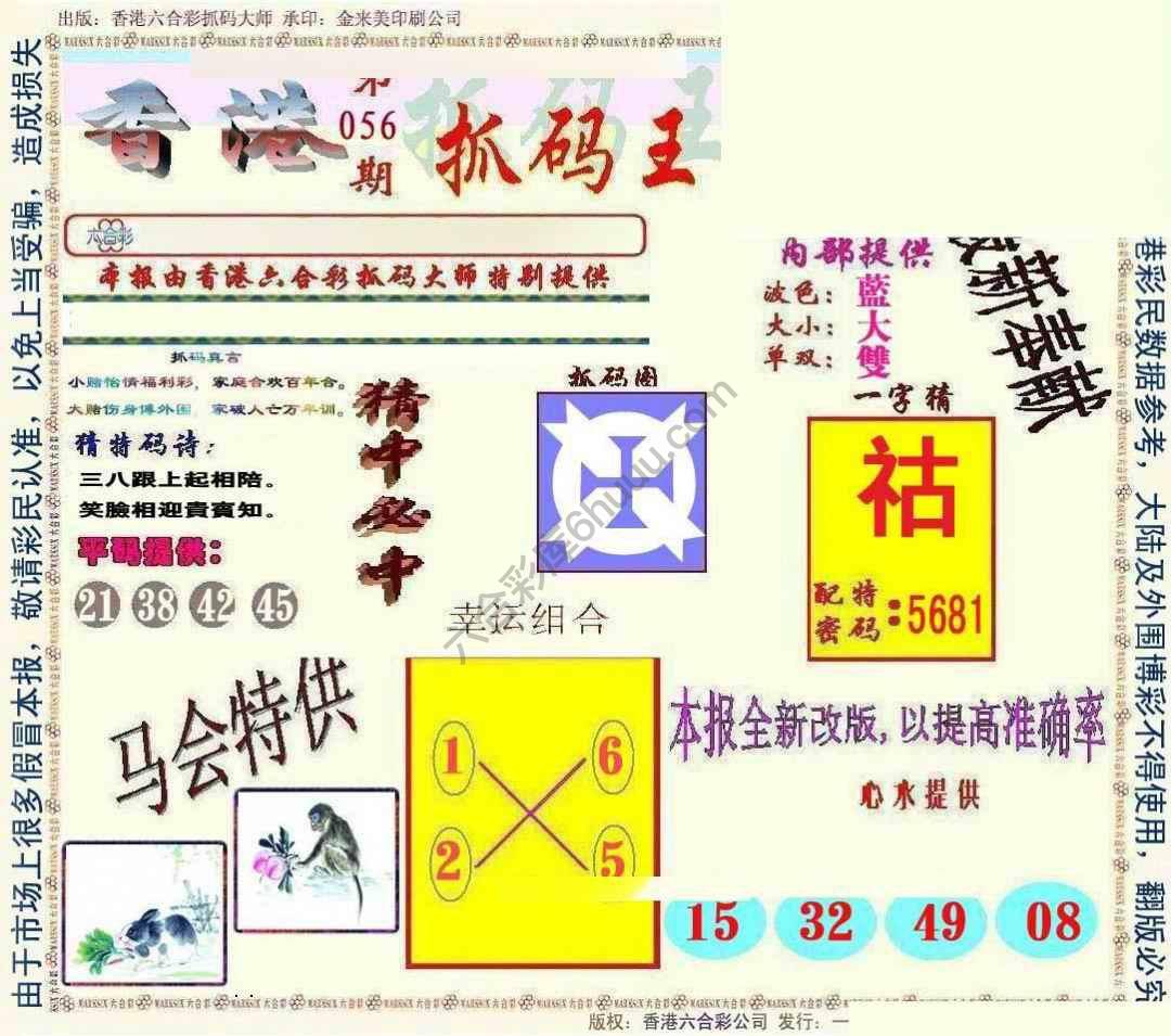 新抓码王
