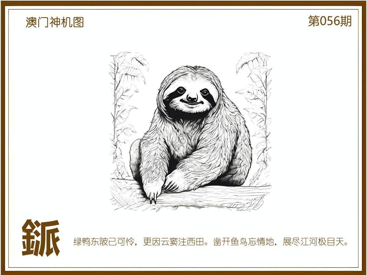 澳门神机图