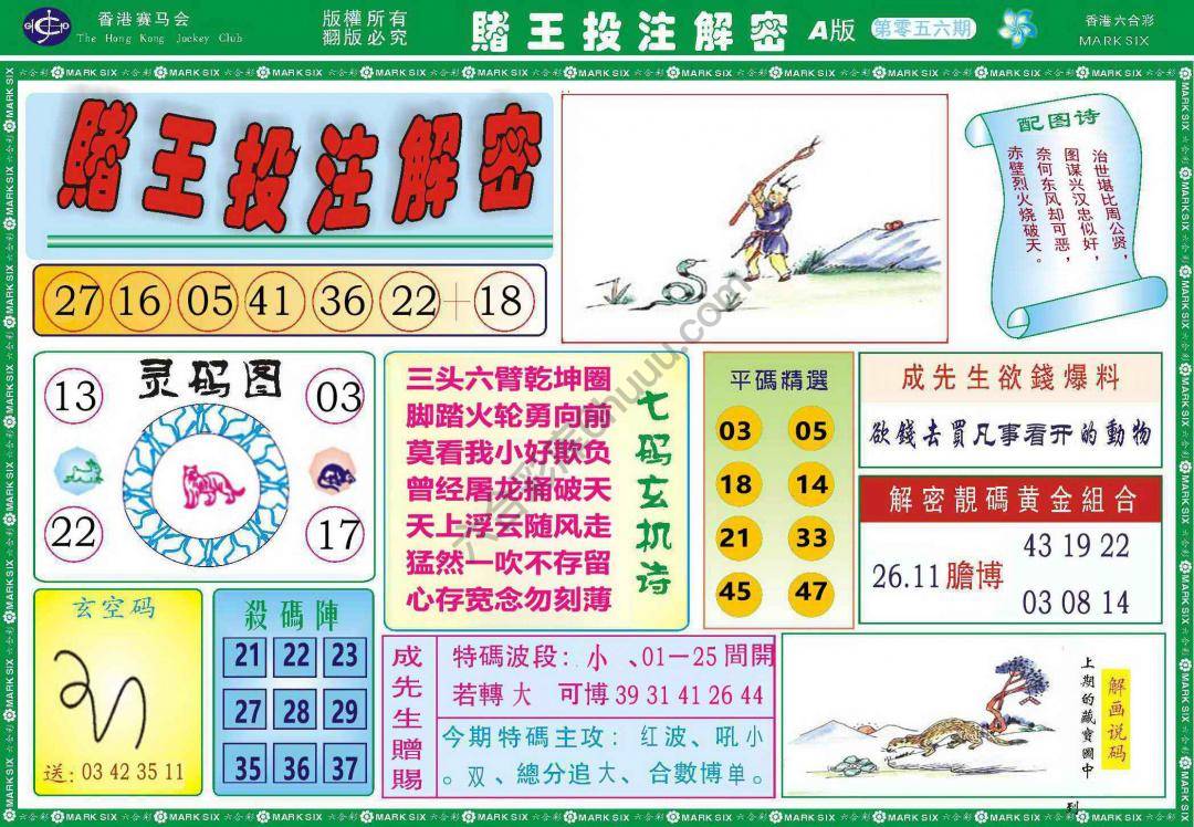赌王投注解密