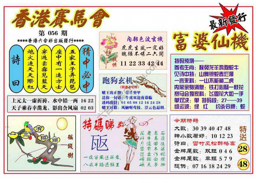 富婆仙机