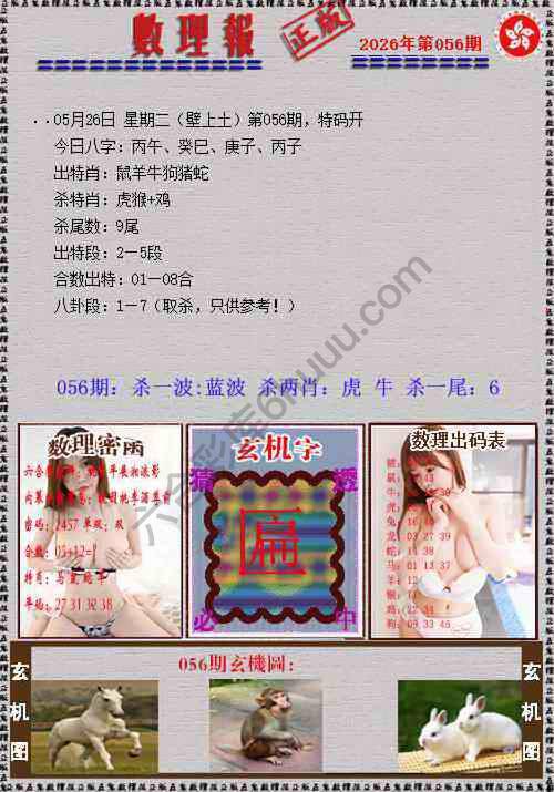 数理报