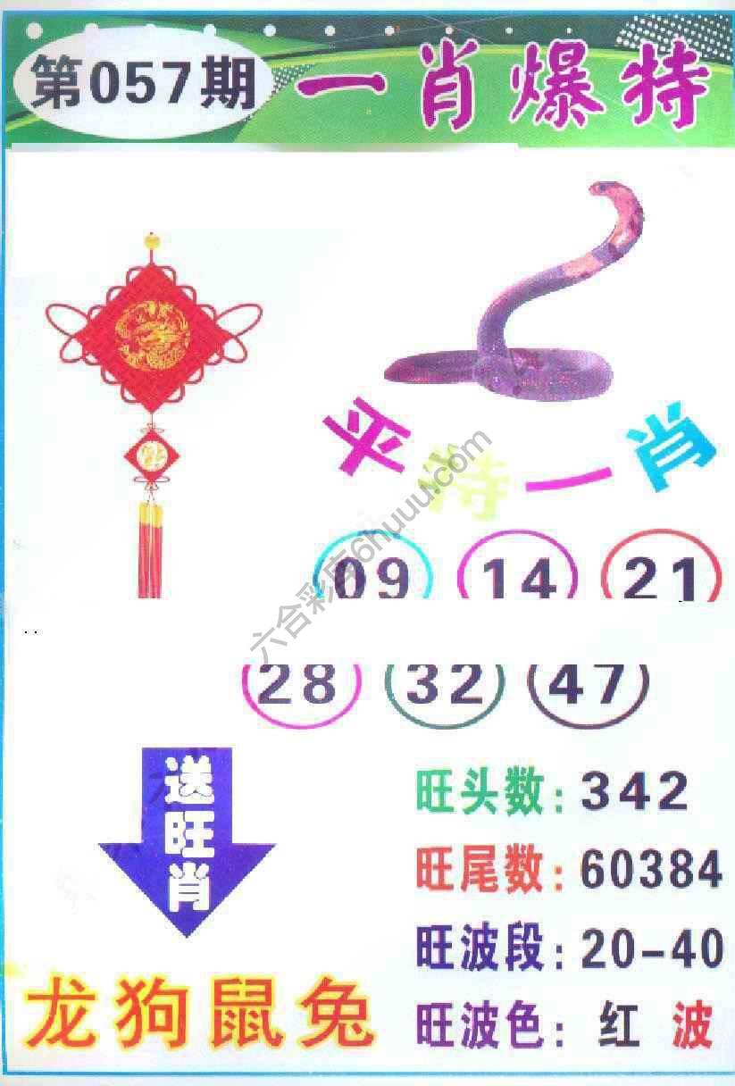 一肖爆特（新版）