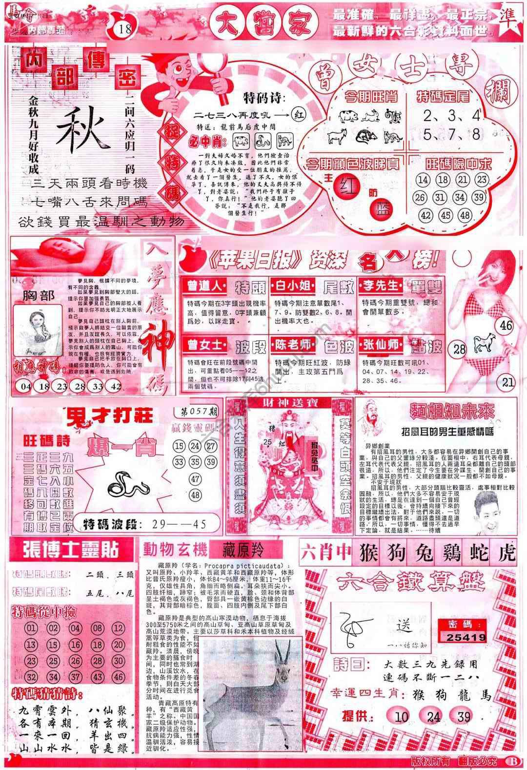 大当家