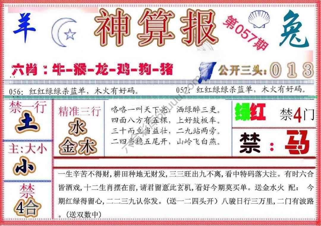 神算报新版