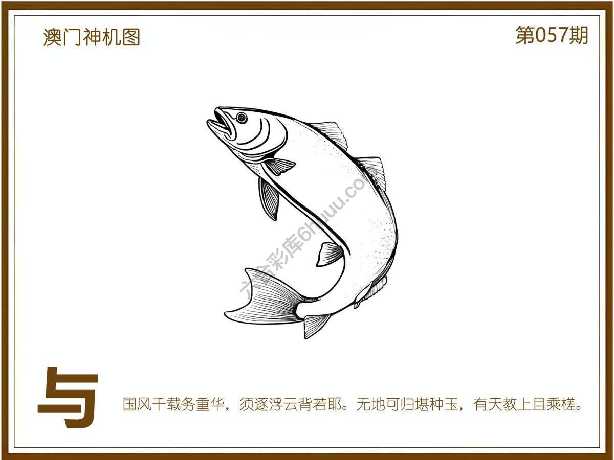 澳门神机图