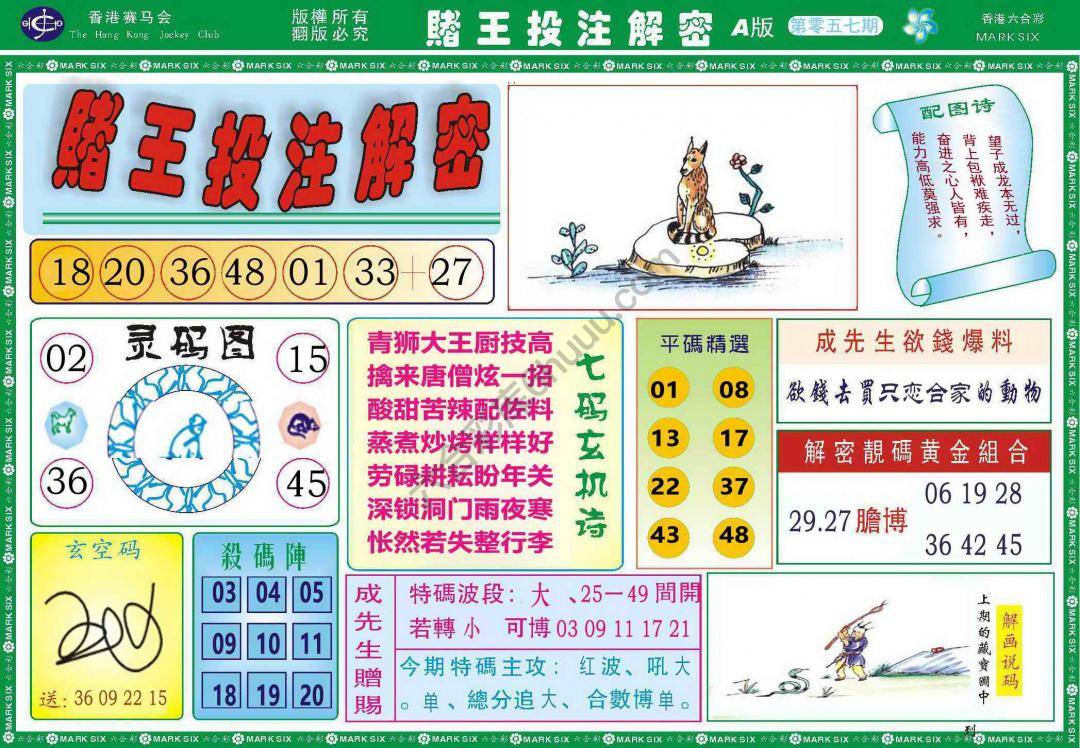 赌王投注解密