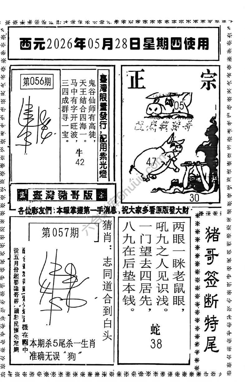猪哥签断特尾