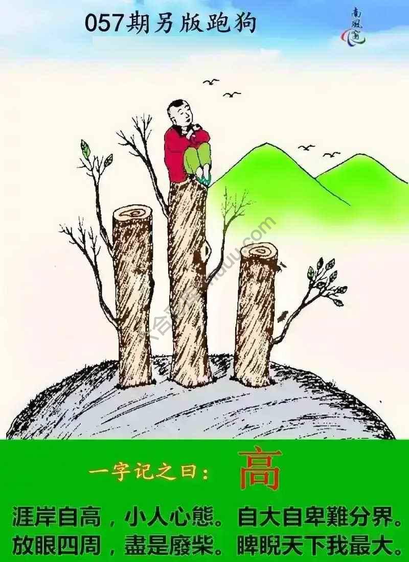 另版跑狗