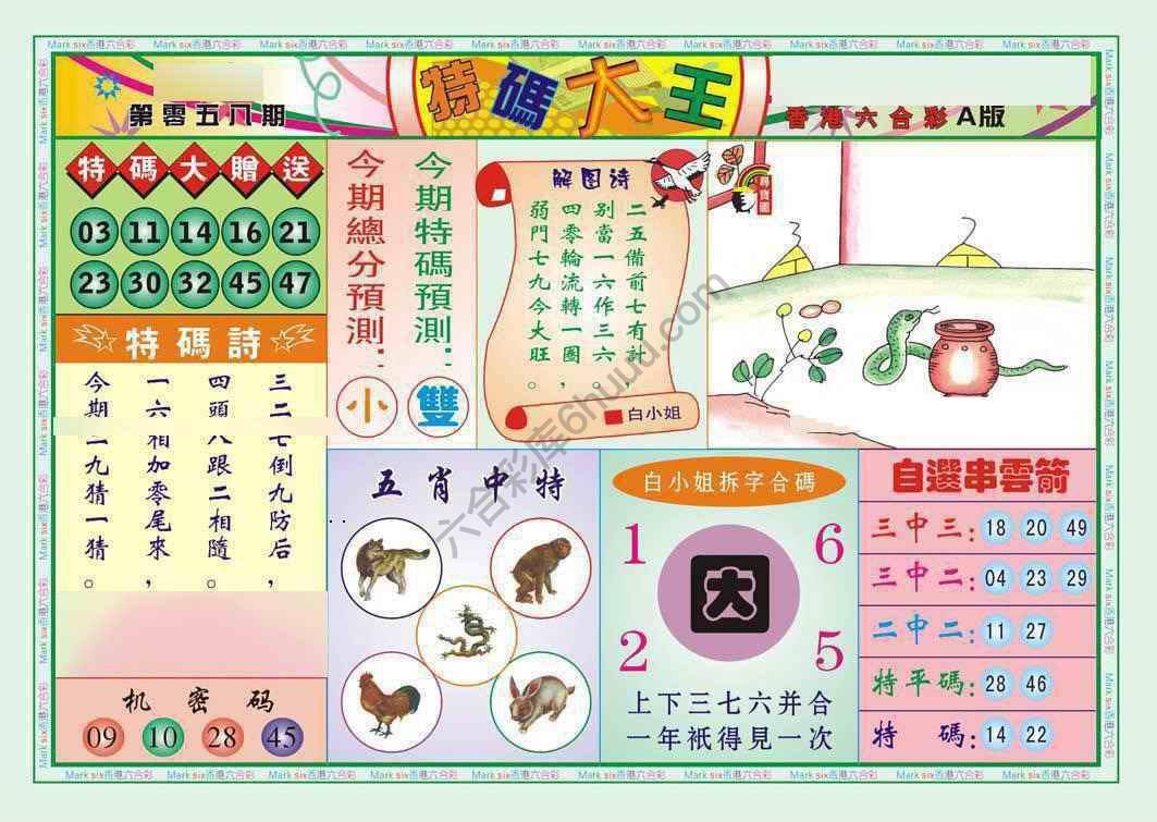 特码大王