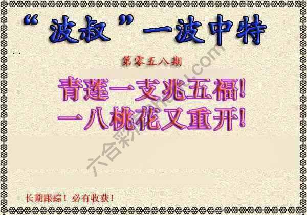 波叔一波中特