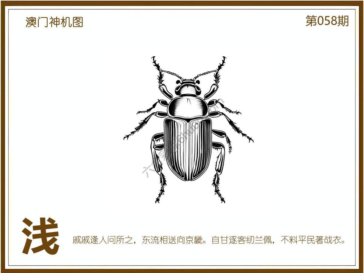 澳门神机图