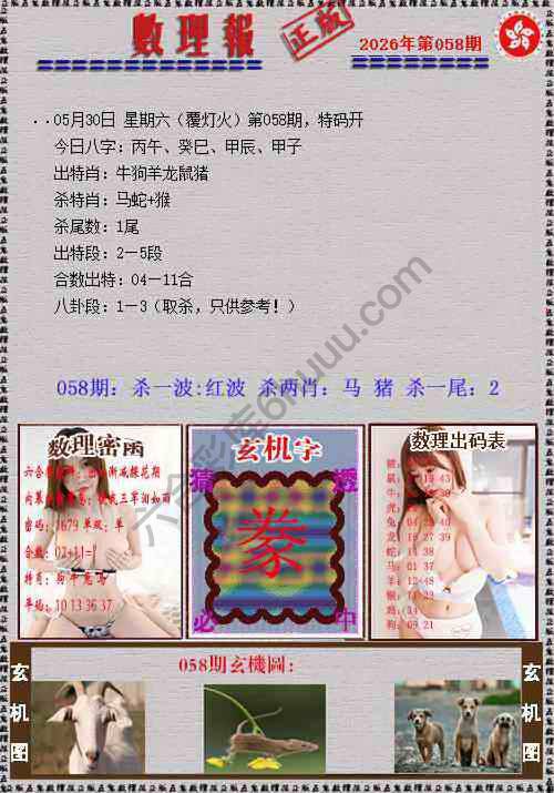 数理报