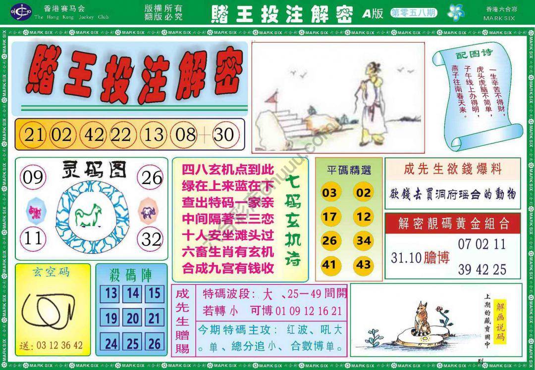 赌王投注解密