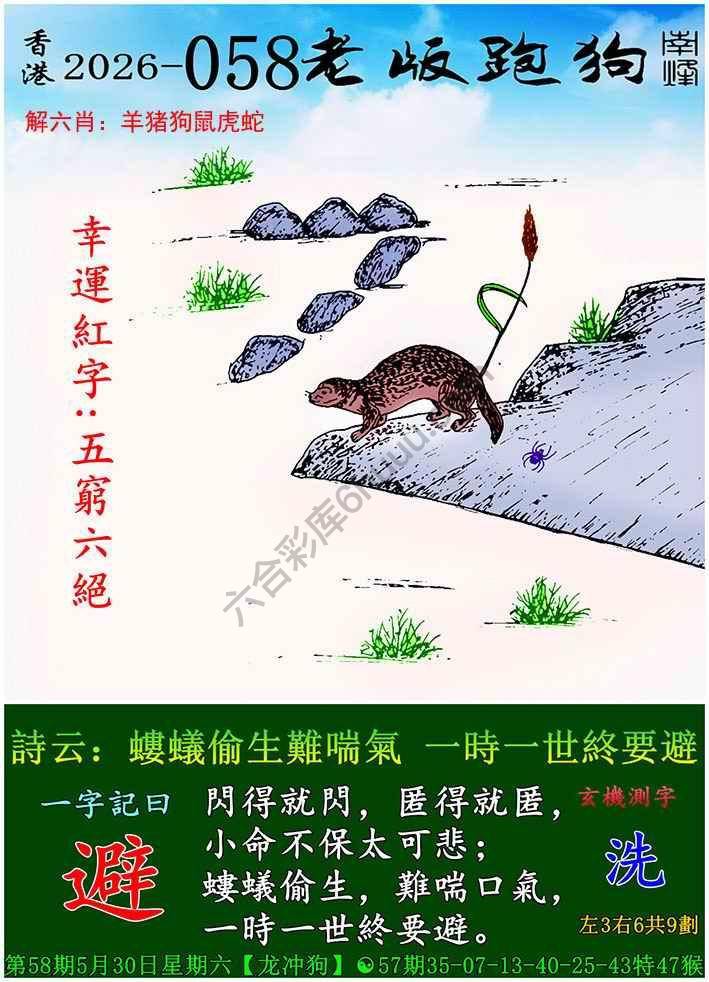 老版跑狗图