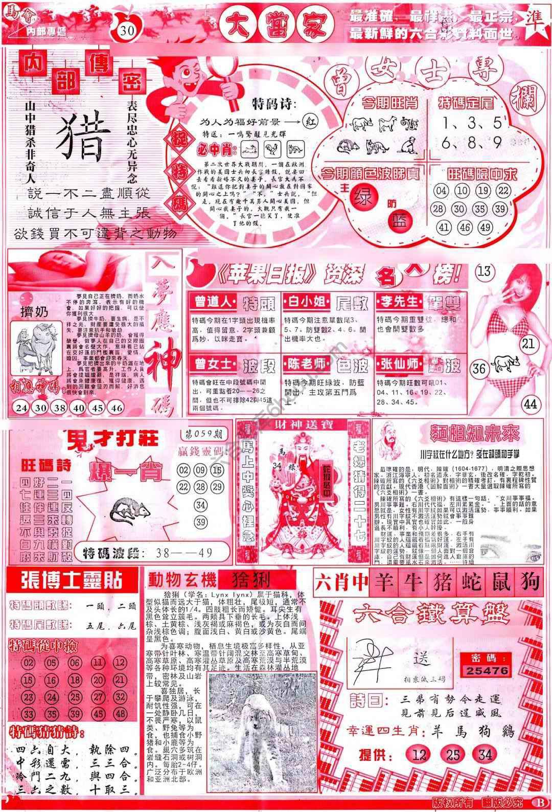 大当家