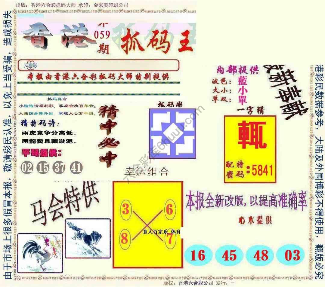 新抓码王
