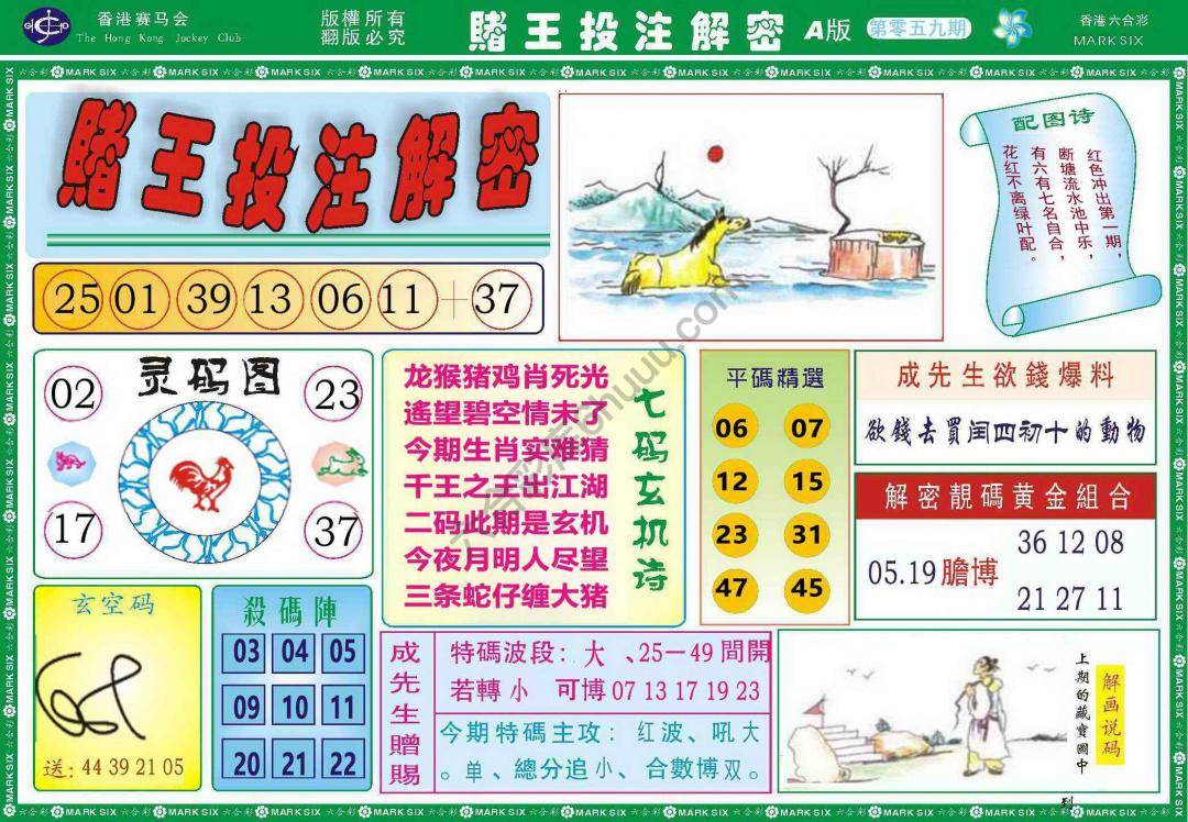 赌王投注解密
