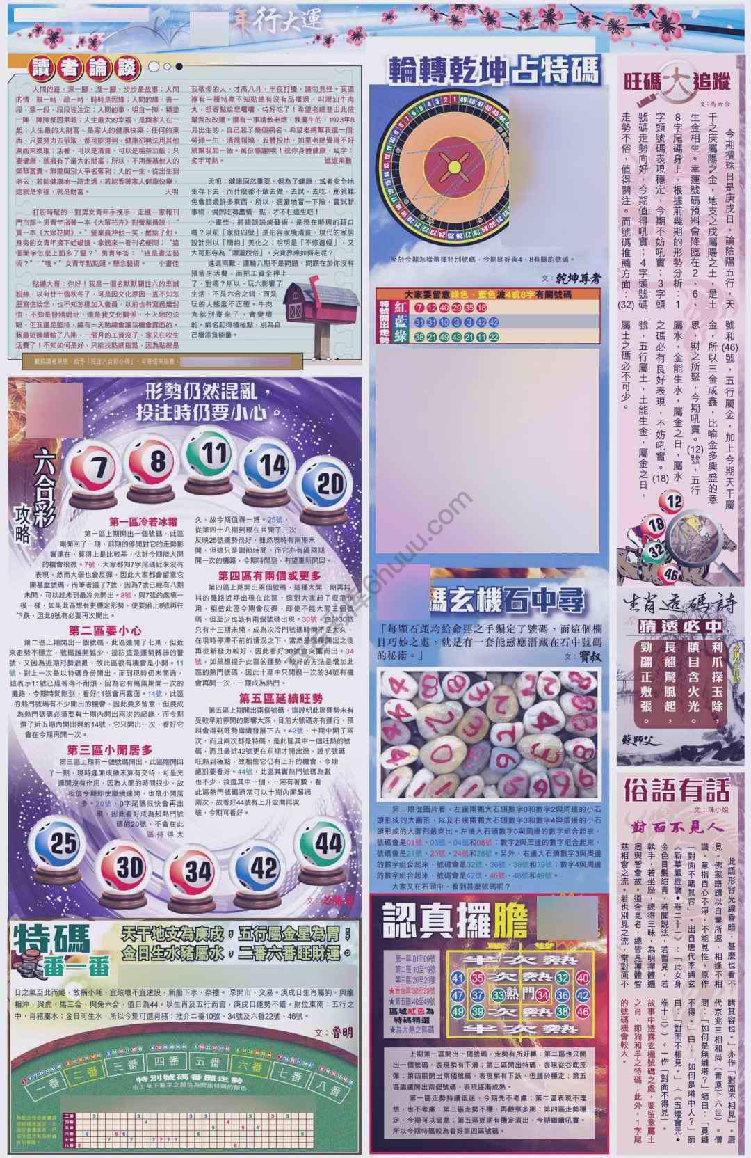 大版贴士皇
