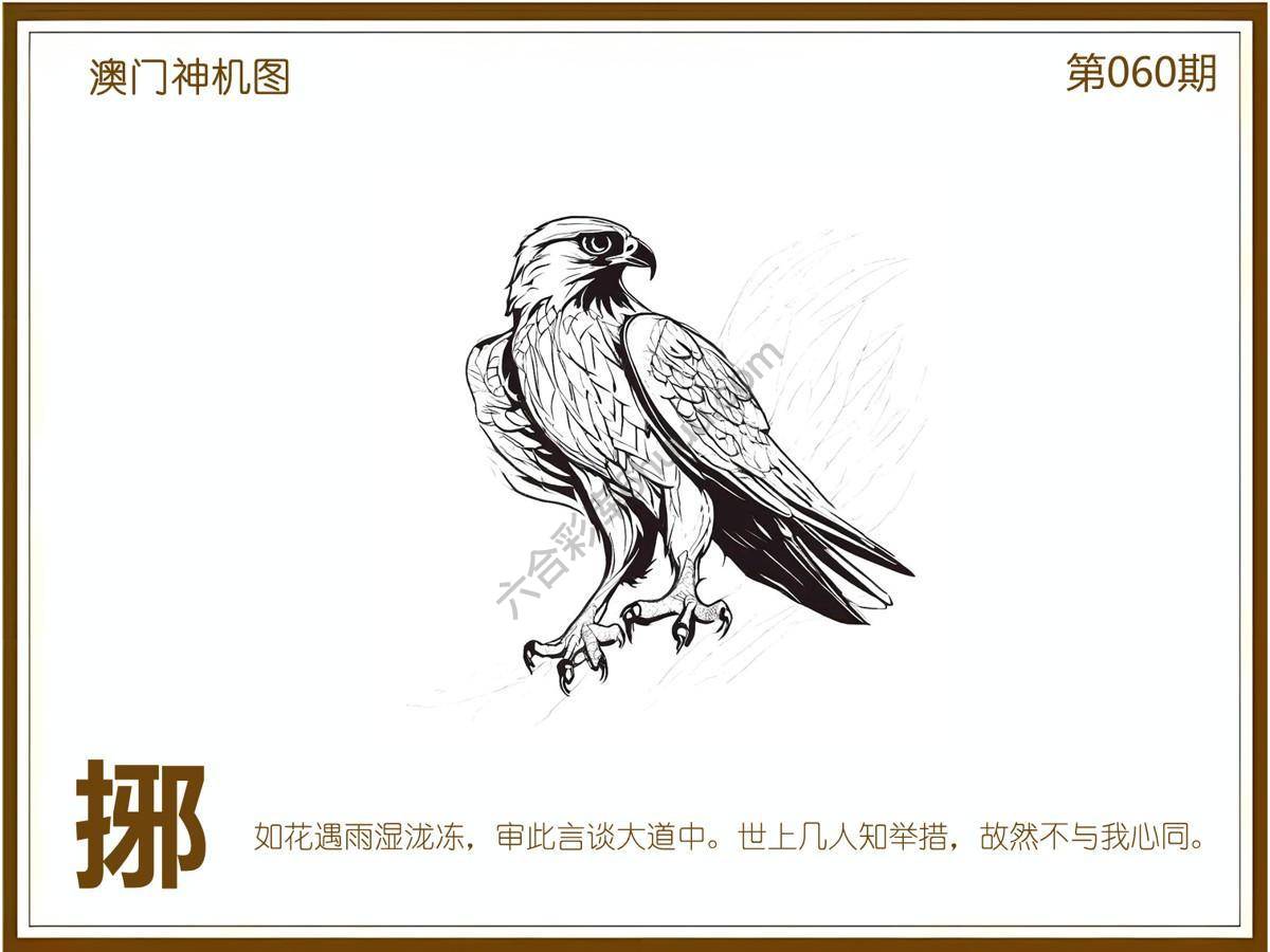 澳门神机图