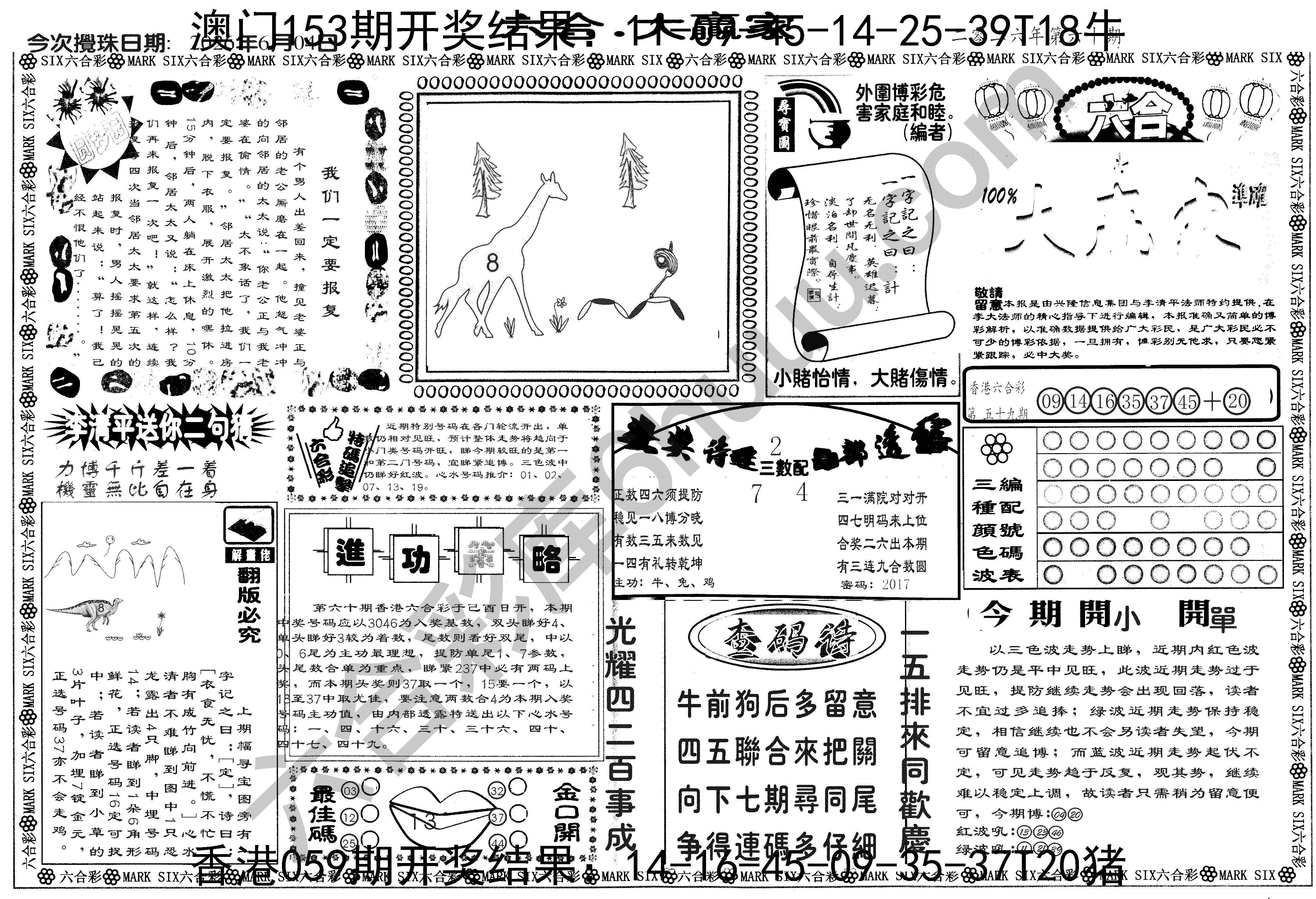 大家赢