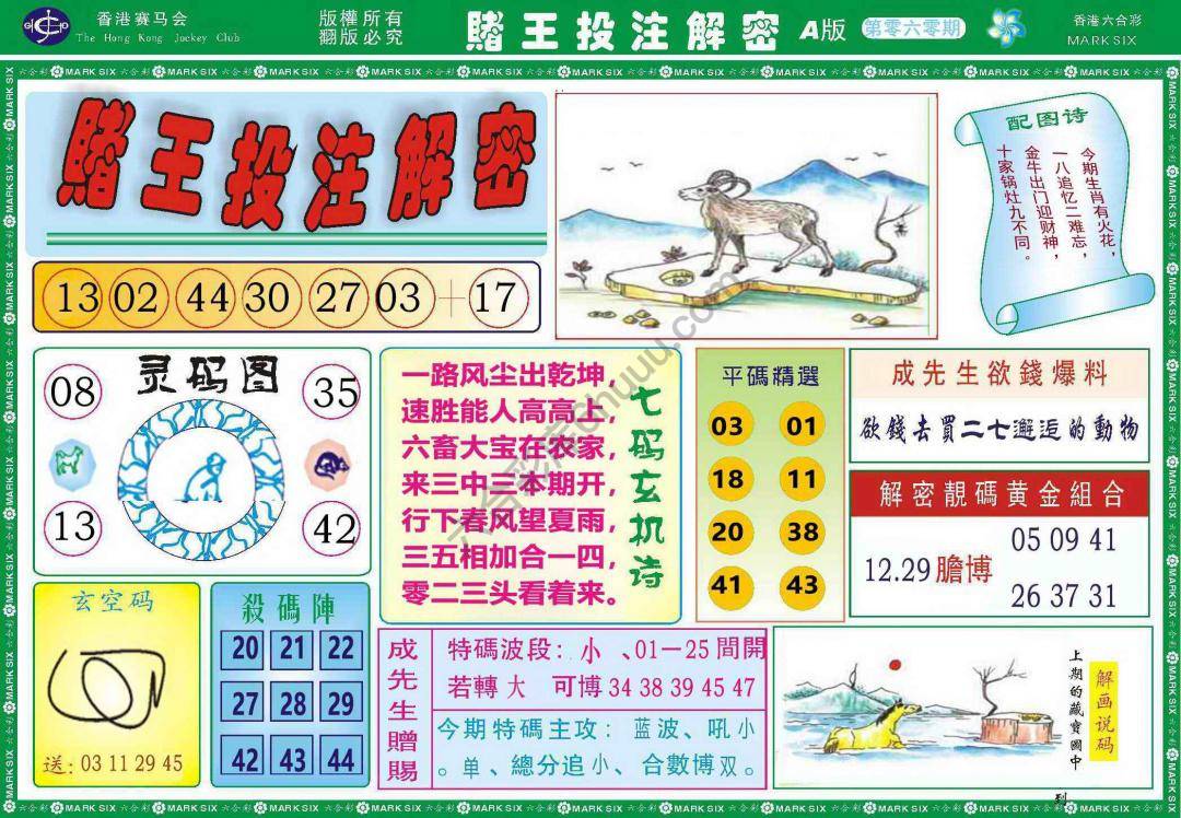 赌王投注解密