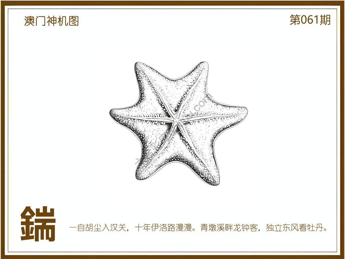 澳门神机图
