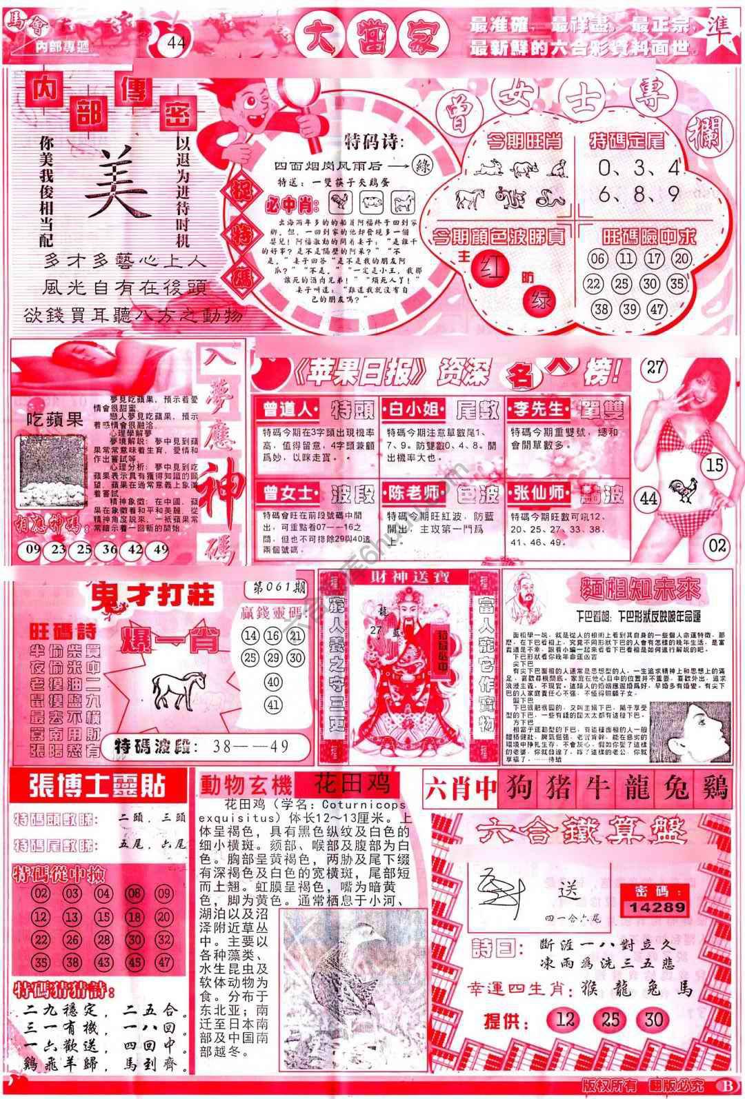 大当家