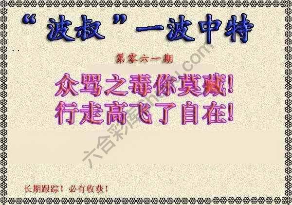 波叔一波中特