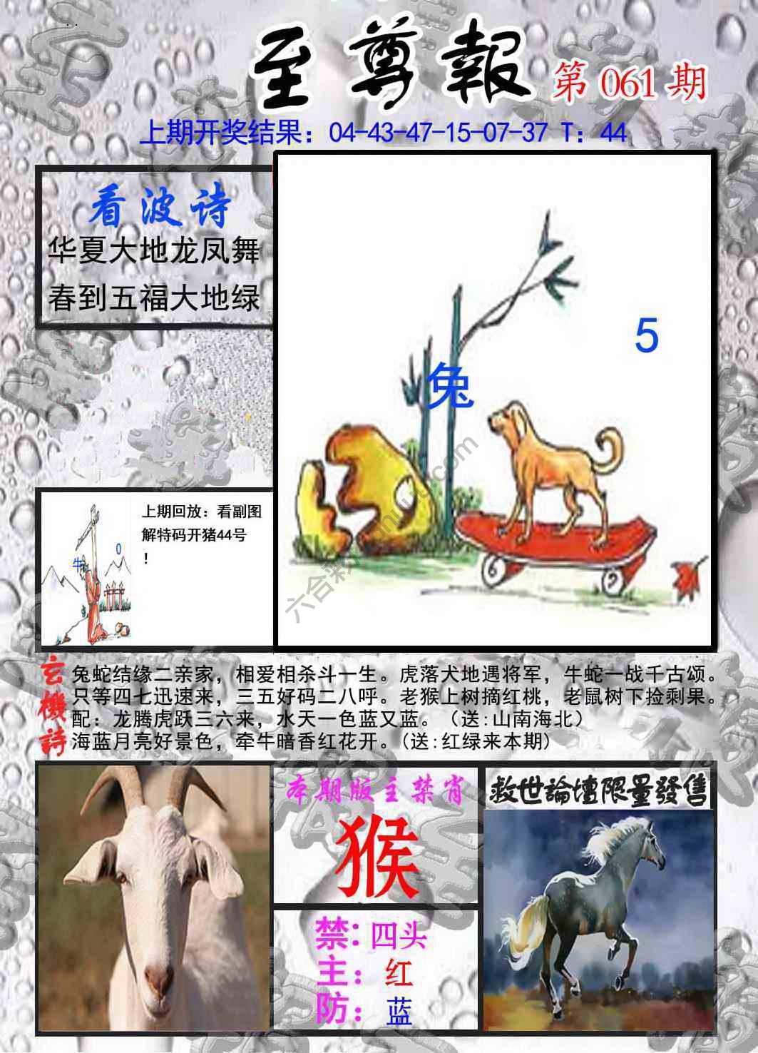 至尊报
